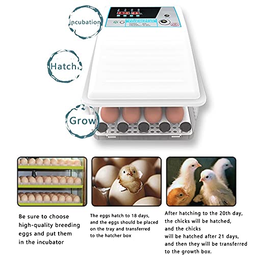 QHYTL Ei-Inkubator 6 Gitter Eier Digitaler Inkubator Temperatur Hausfrauen Automatische Mini-Hähnchen-Enten-Gänse-Vögel… – Bild 8