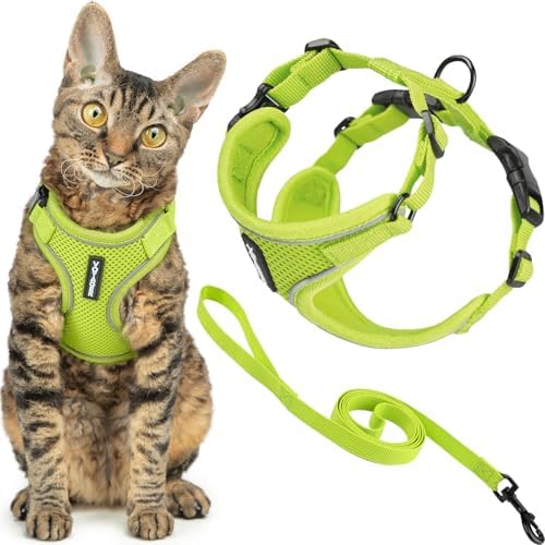 Voyager Escape-Proof Step-in Lock Cat Harness & 5ft Neoprene-Hand...