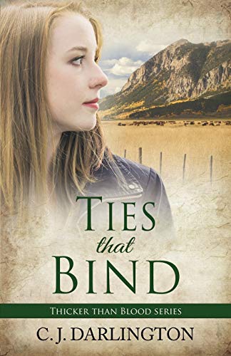 Ties That Bind view 2