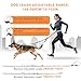 LED Freihandleine Hundeleine, Wiederaufladbar Joggingleine mit Autosicherheitsgurt für Kleine & Mittelgroße, Verstellbar Leine für Nachtsicherheit Spaziergänge (2,6 M)