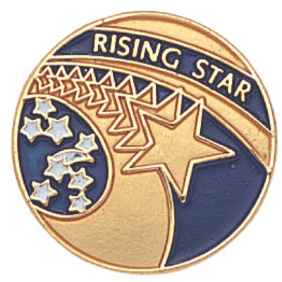 Image of SHOP AWARDS AND GIFTS Enamel Lapel Pins for Students Appreciation Reward Teacher Supplies Employees, Pack of 12, 3 /4 Inch