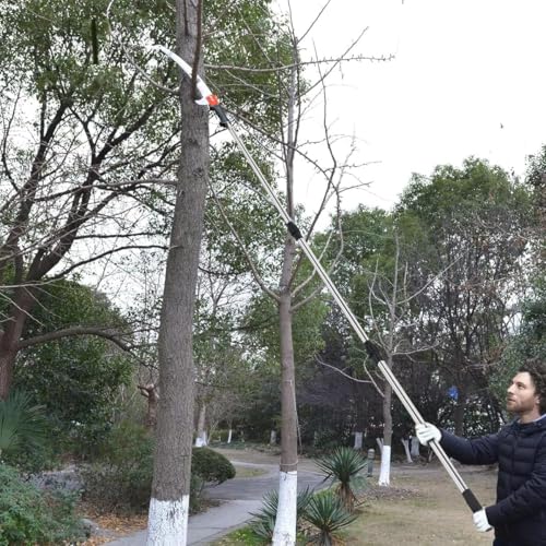 Image of Professional Tree Pruning Saw, Extendable Pole Saw with Curved Blade, Telescopic Handle for Garden Branch Cutting, Manual Tree Trimmer