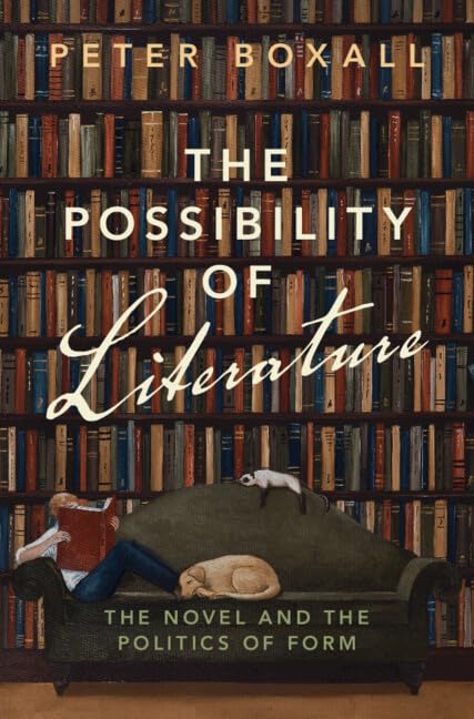 The Possibility of Literature: The Novel and the Politics of Form      Kindle Edition