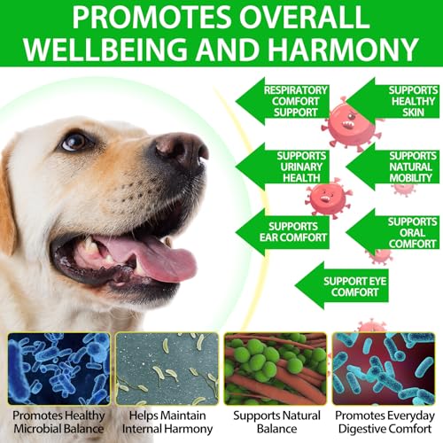 60ml Natürliche Antibiotika für Hunde, Hunde Antibiotika bei Infektionen, Lindert Hustenallergien & Harnwegsinfekte, Ohne Künstliche Zusätze
