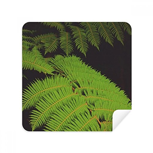 Chiffon microfibre pour lunettes style photo nature verte et écrans