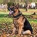 Taktisches Hundehalsband, Verstellbare Halsband Mit Kontrollgriff Weich Gepolstertes Nylon Hunde Halsband mit robuster Metallschnalle für Mittlere Große Hunde