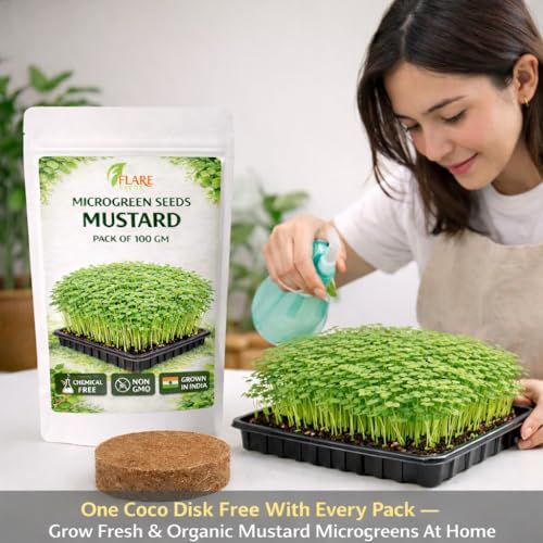 Image of Mustard Microgreen Seeds, Chemical-Free Non-GMO, 100 gm Pack with Coco Disk, Rich in Antioxidants and Nutrients, Grown in India