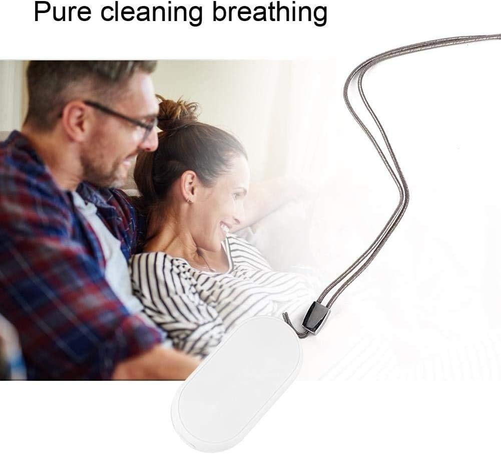 filtro dell'aria portatile per i germi