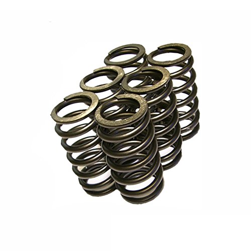 Diesel Care 60 lb Valve Performance Springs for Dodge Cummins 12-Valve 1989-1998