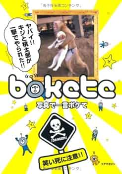 51aniyNGK7L._AC_UF350,