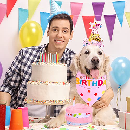 Set para Perro Cumpleaños con Sombrero y Falda Rosa Medium miniatura 6