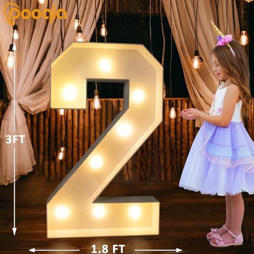 Image of Pooqla 3 FT Light Up Numbers 2 for 2nd 20th Birthday Decorations, Large Marquee Numbers with Cool White & Warm White LED Lights, Big Mosaic Sign for Anniversary Birthday Party Decorations