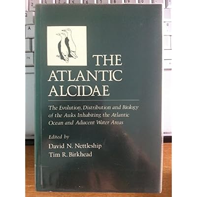 Atlantic Alcidae