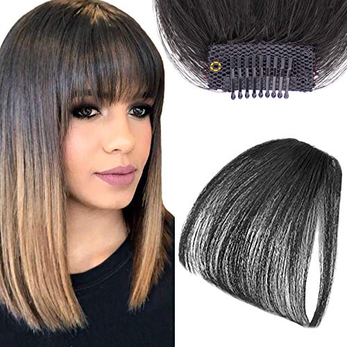 Bevisun Clip in Bangs, 1 Piece Bangs Hair Clip, No Temples Fake Bangs, 100% Human Hair Clip on Bangs (Black)