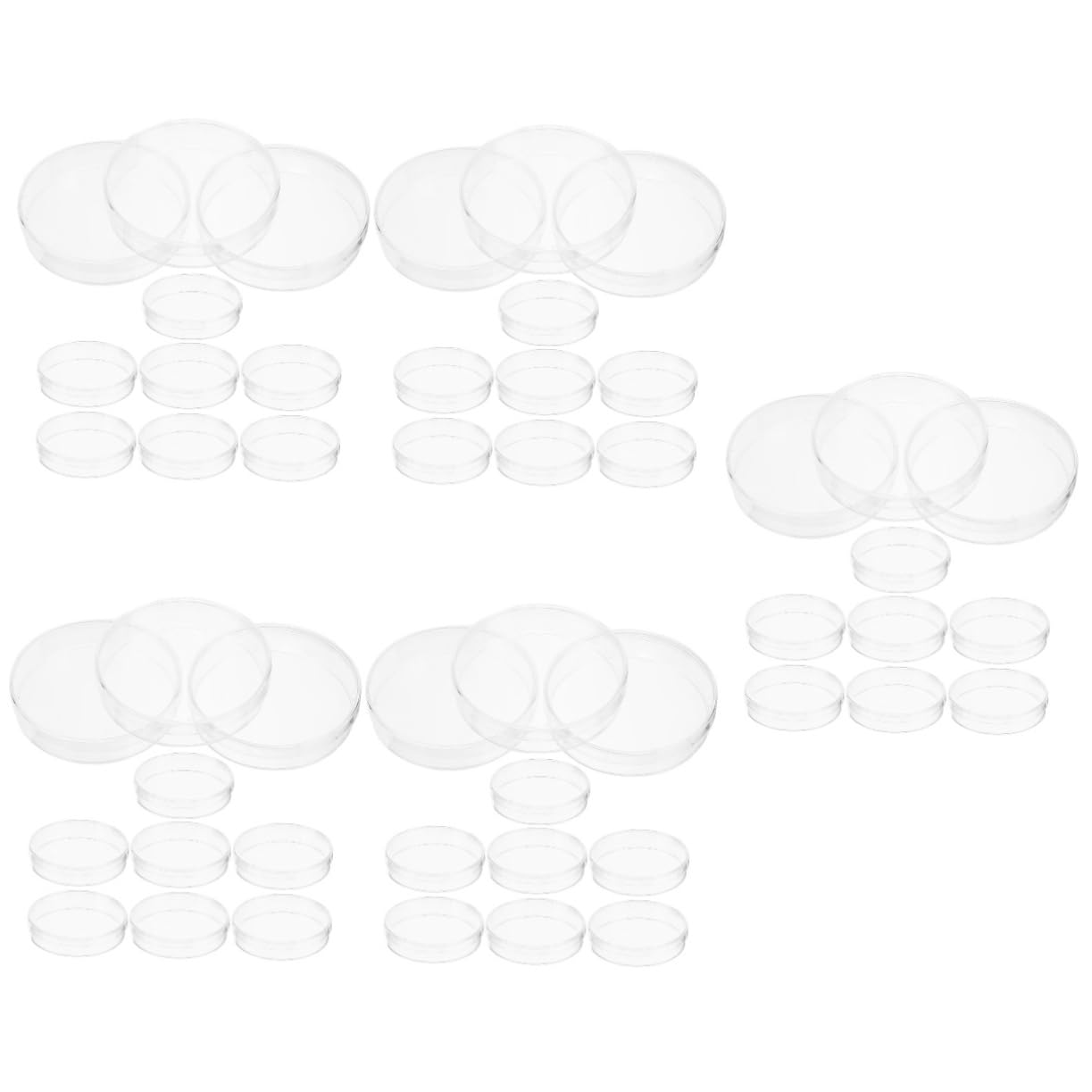 SOLUSTRE 50piezas Placas De Cultivo Celular Transparentes Unidades Para Experimentos De Laboratorio y Cultivos Celulares