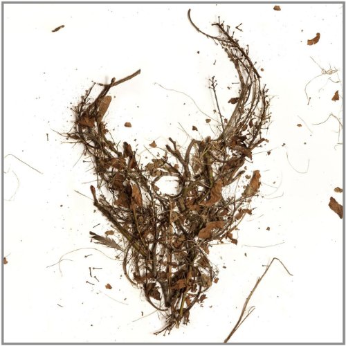 Death, A Destination