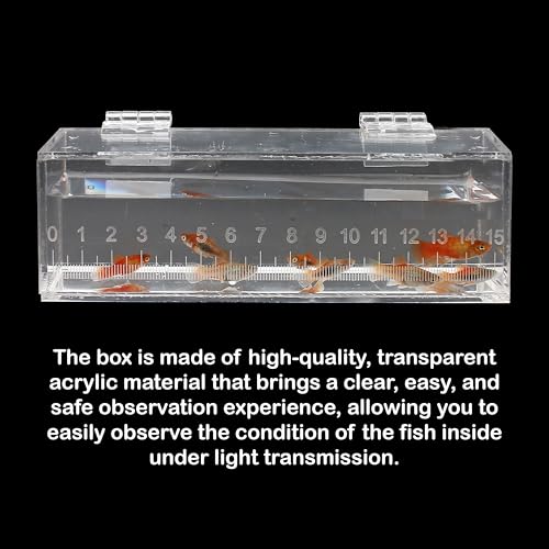 Image of Fish Viewing Box Container with Lid and Scale, Acrylic Portable Fishing Mini Aquarium, Small Fish Breeder Hatching Boxes, Safe Tank Case for Breeding Egg Photo Isolation Outdoor Indoor