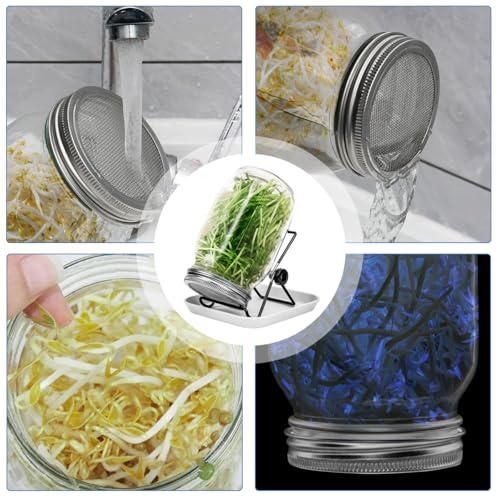 Image of HASTHIP Seed Sprouting Jar with Lid 32Oz Glass Sprouting Mason Jar with Shading Sleeve Ventilation Stainless Steel Mesh Lid Reuseable Glass Sprouting Mason Jar for Edible Sprouts, Mung Beans, Lentils