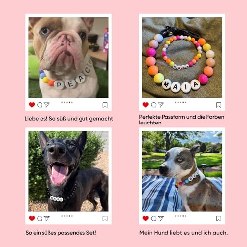 Hundehalsband Personalisiert mit Namen, Niedliches Hundehalsband Perlen für Hunde und Katzen, Dekorative Hundehalskette für Den Hundegeburtstag, Kostenlose passende Freundschaft Armband Hund Kragen