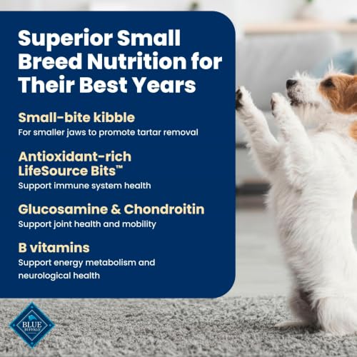 Blue Buffalo Life Protection Formula Chicken Small Senior Dog Food, 5 lb - image 4