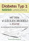 DIABETES TYP 2 natürlich umkehren Mit DEM 4 Säulen-Konzept IN KÜRZE ZU NORMALEN Blutzucker-WERTEN