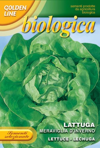 Franchi Seeds of Italy Organic Range Lettuce Meraviglia d'Inverno Seeds