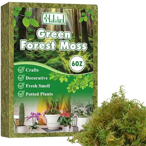Halatool 170g Green Sphagnum Moss for Plants - Ideal Orchid Potting Mix Moisture-Retaining Moss for Indoor/Outdoor Potted Plants Natural Forest Moss Soil Cover