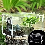 Jooheli Reptil Fütterungsbox, Transparent Reptil Zuchtfall, Insect Feeding Box mit Starker Magnetischer Sicherheitsschalter, Acryl Terrarium Behälter für Spide, Skorpion, Käfer, Reptilien (20x12x12cm)