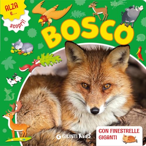 Il bosco. Ediz. a colori