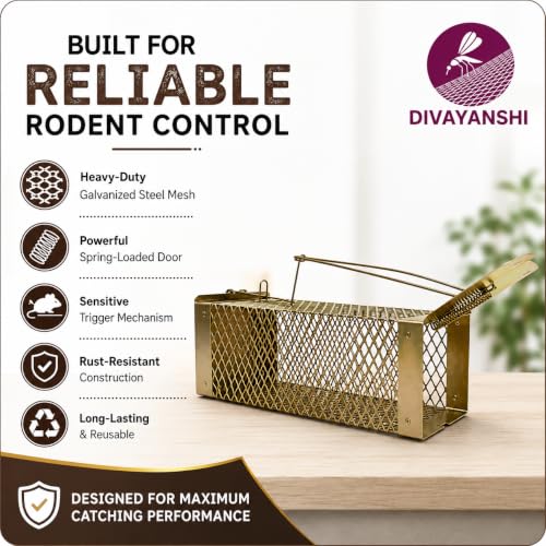 Image of Divayanshi Heavy-Duty Rat Trap - Reusable Humane Rodent Catcher for Mice & Rats, Strong Spring Mechanism, Easy to Set & Clean, Indoor & Outdoor Use- Small (7.5 inch)