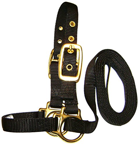 Hamilton Deluxe 3 4  Nylon Sheep Show Halter with 5  Lead Attached, Black