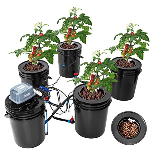 10+ Best Hydroponic System For Growing Marijuana 2023