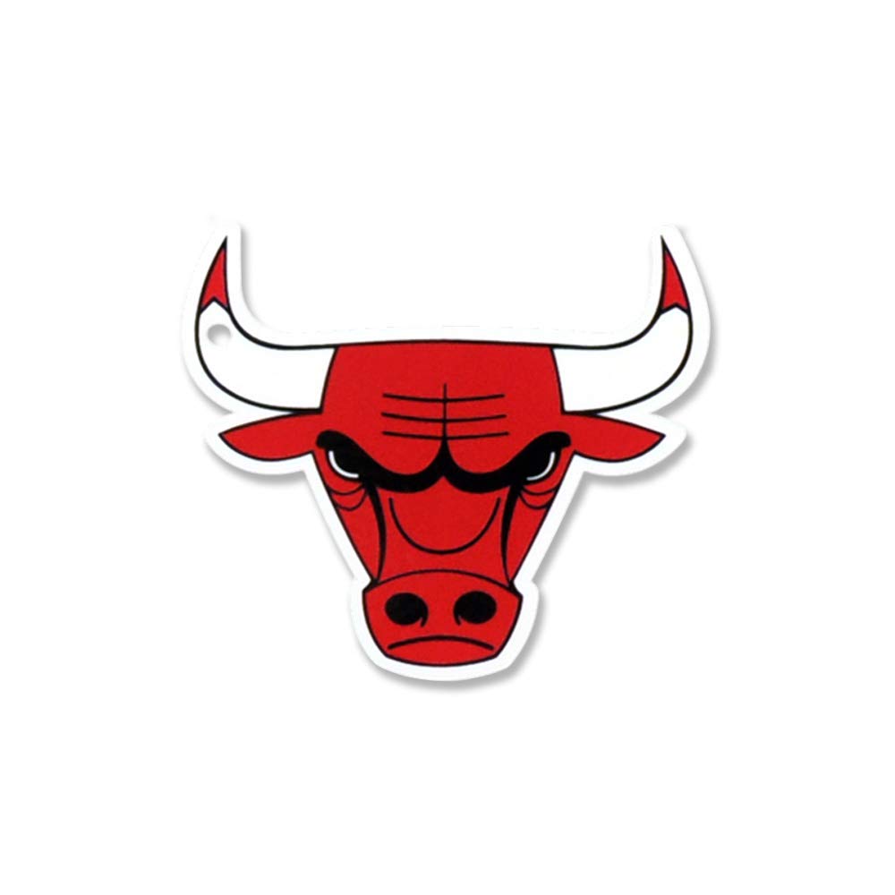 NBA Chicago Bulls Super Heavy-Duty Metal Fridge Magnets, Strong Neodymium Magnets, for Car Magnet Accessories, Refrigerator Magnets for Kids, Gifts, Home and Office, 4 inch