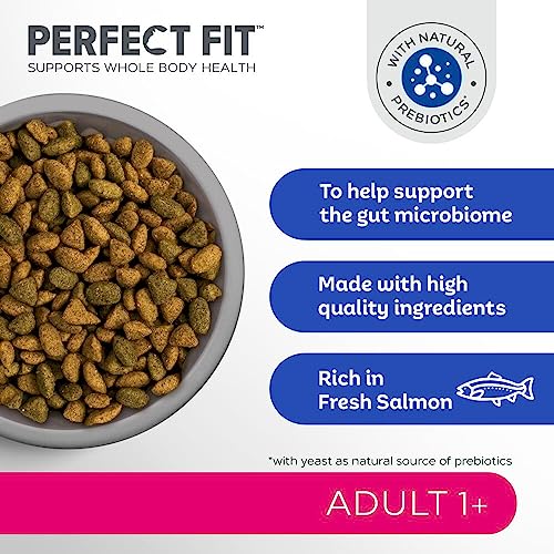 PERFECT FIT™ Katze Beutel Adult 1+ mit Lachs 3x2,8kg