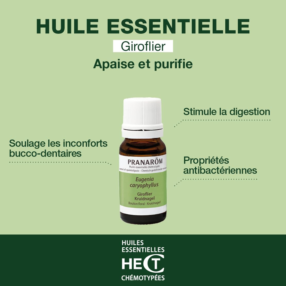 PRANAROM - Clavo de Olor - Aceite Esencial Quimiotipado - Confort Bucodental - 100% Puro y Natural - HECT - 10 ml