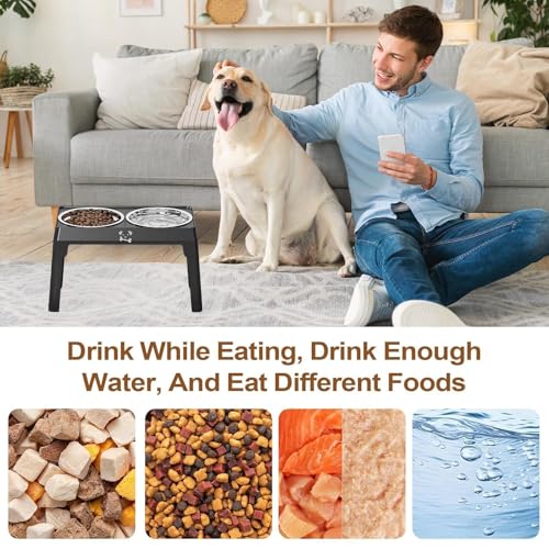 Gamelle surélevée pour chien en acier inoxydable avec support durable