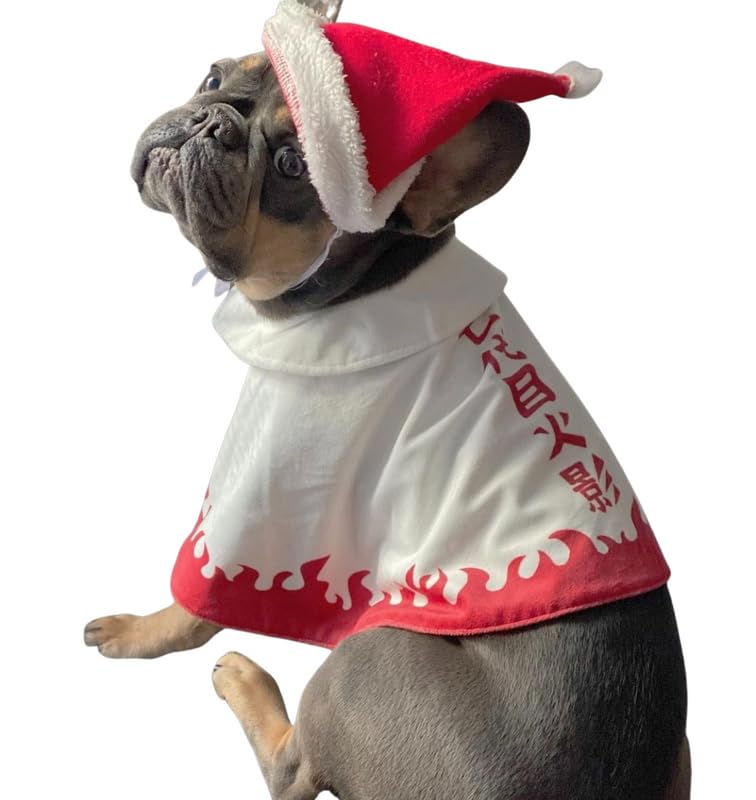 Amazon | ChoChoCho アニメ コスプレ 忍者コスチューム 犬