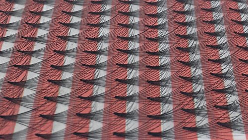 Ciglia Estensione Russo 10d Premade Volume Lashes