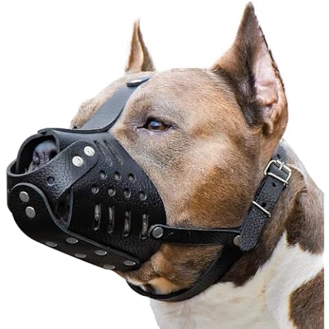 CleverTail Medium Leather Dog Muzzle for Pitbulls – Soft Dog Muzzle for Large Dogs Pitbull – Breathable Pitbull Muzzle Anti Bite – Adjustable Basket Muzzle for Pitbull, Labrador, German Shepherd etc. Cover