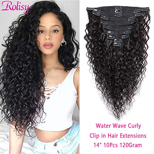 Rolisy Water Wave Curly Clip in Hair Extensions Water Wavy Hair Clip Ins Real 8A Brazilian Remy Hair for Black Women,Double Lace Wefts,Natural Black Color,10Pcs,120 Gram,14 Inch