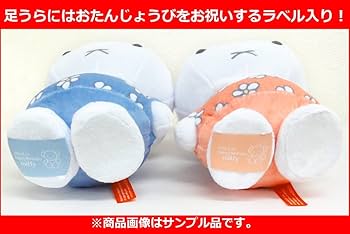 51aoWADG1uL._AC_UF350,