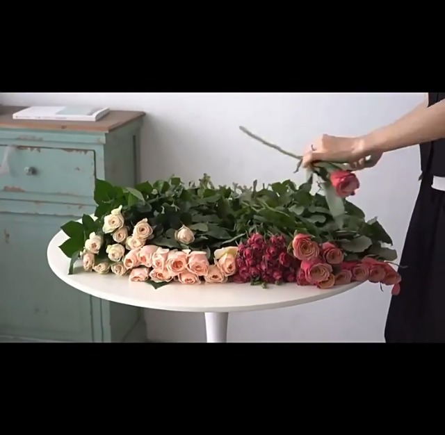 Herramienta quitadora de espinas para rosas TEONEI rosa miniatura 6