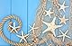 Nature Fish Net Wanddekoration mit Muscheln und 10 Stück natürlichen Seesternen Fischernetz im mediterranen Stil mit Meeresmotiven für Strandpartys Hochzeiten Fotografie Wanddekoration,150cm × 200cm