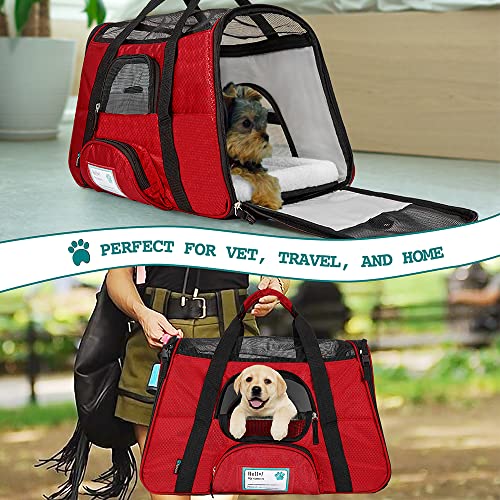 Petami Premium Airline Approved Soft-Sided Pet Travel Carrier | Ideal For Small - Medium Sized Cats, Dogs, And Pets | Ventilated, Comfortable Design With Safety Features (Large, Red) #TOP6