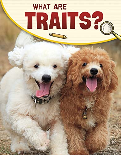 What are Traits?