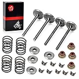 Intake Valve & Exhaust Valve and Seals & Spring & Valve Spring Retainers & Collet Keepers Compatible with EZGO 4 Cycle Gas Golf Cart Fuji Robin 295 cc Robin 350 cc 1992-2002 72507-G01 72508-G01
