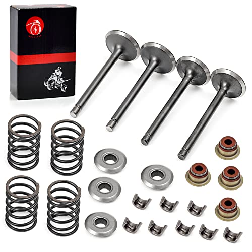 Intake Valve & Exhaust Valve and Seals & Spring & Valve Spring Retainers & Collet Keepers Compatible with EZGO 4 Cycle Gas Golf Cart Fuji Robin 295 cc Robin 350 cc 1992-2002 72507-G01 72508-G01