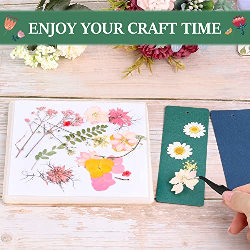 Aboofx Kids' Flower Press Kit, 4-Layers 6 X 6 Inch Wooden Leaf Press Flower Pressing Kits For Adults Kid Creativity Outdoor Play Learning Toy Nature Art Crafts Diy Kit For Girls & Boys Gift #TOP6