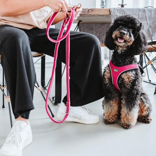 HUNTER Verstellbare Hundeführleine HILO, Farbe: braun, leichtes 3D-Mesh-Material, griffiges Nylon, dreifach verstellbar, schnelltrocknend, witterungsbeständig, Größe: 20/200