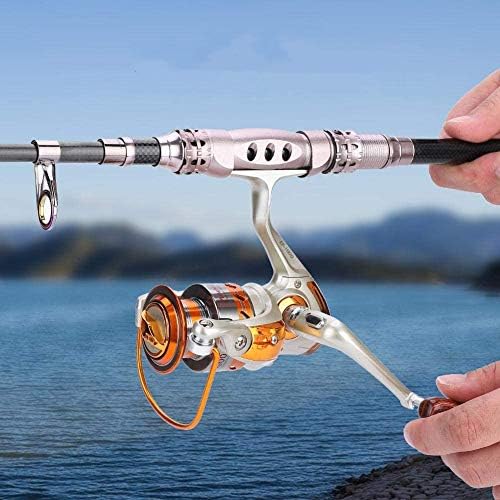 Fishing Reel, 12BB Saltwater Spinning Wheel Ocean Sea Boat Ice Fishing Reel Trolling Metal EF500-9000(EF2000)
